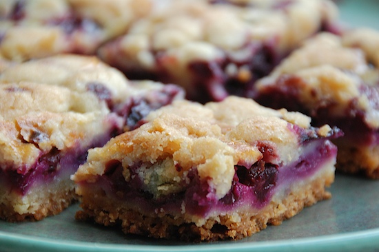 Read more about the article Blueberry Crumb Bars