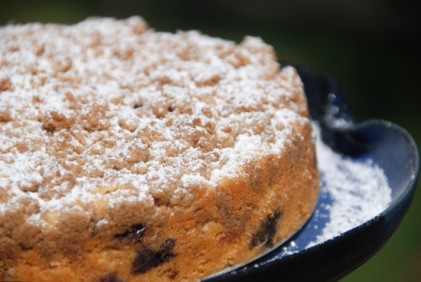 Read more about the article Blueberry Crumb Cake