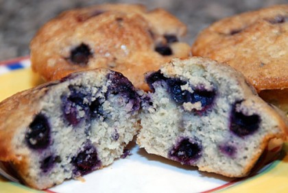 Read more about the article Another Delicious Blueberry Muffin