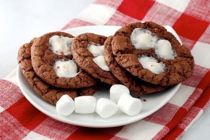 Read more about the article Mini Hot Cocoa Cookies