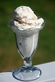 Read more about the article Chocolate Freckle Ice Cream