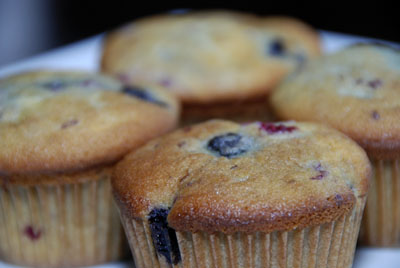 Read more about the article Blueberry Coffee Cake Muffins