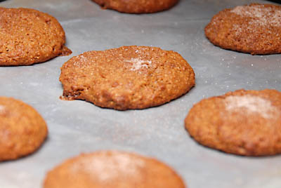 Read more about the article Breakfast Cookies