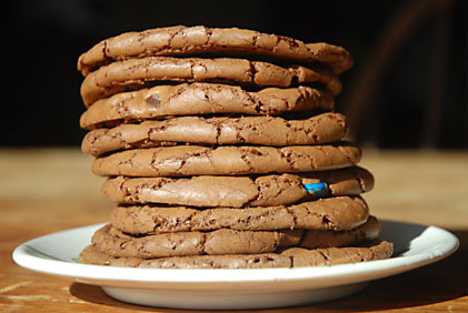 Read more about the article Double Chocolate Cookies
