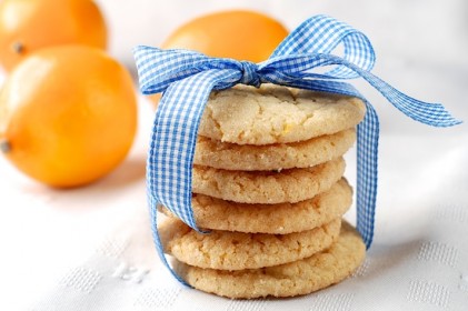 Read more about the article Lemon Sugar Cookies