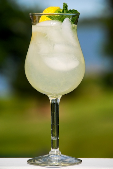 Read more about the article Mint Lemon-Limeade